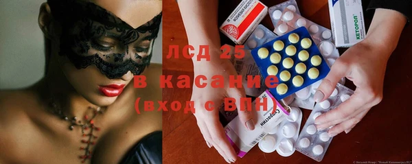 прущие грибы Ивангород