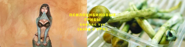 спайс Баксан