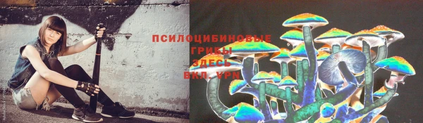 амф Ивантеевка