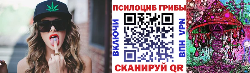 купить наркотики цена Плёс Псилоцибиновые грибы прущие грибы