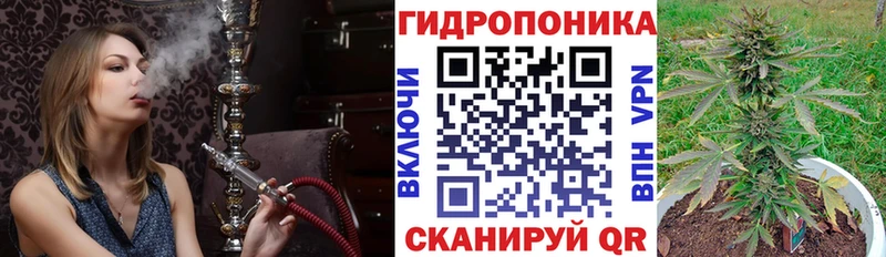 наркошоп  Плёс  Бошки марихуана индика 